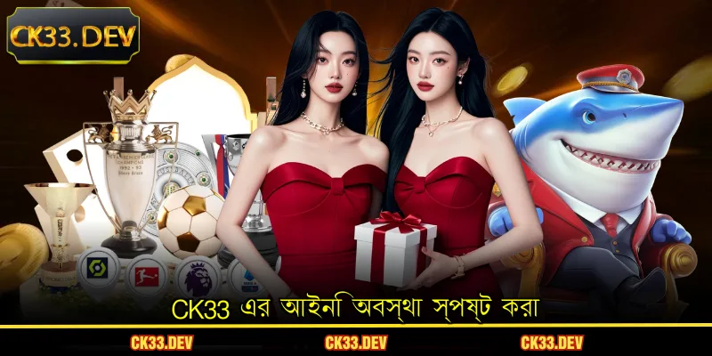 CK33 এর আইনি অবস্থা স্পষ্ট করা